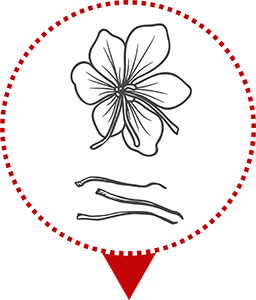 Icône émondage des filaments de safran par le Safran de Gervan, safran bio français.