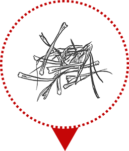 icône séchage des brins de safran, de la production française le Safran ed Gervan.