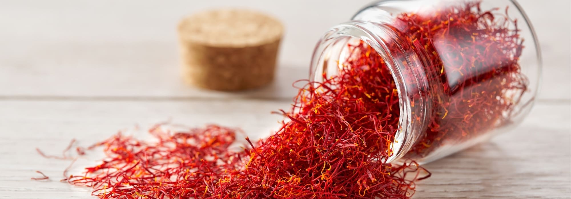 Pot de safran ouvert avec filaments de safran cultivés par le Safran de Gervan, producteur de Safran en France.